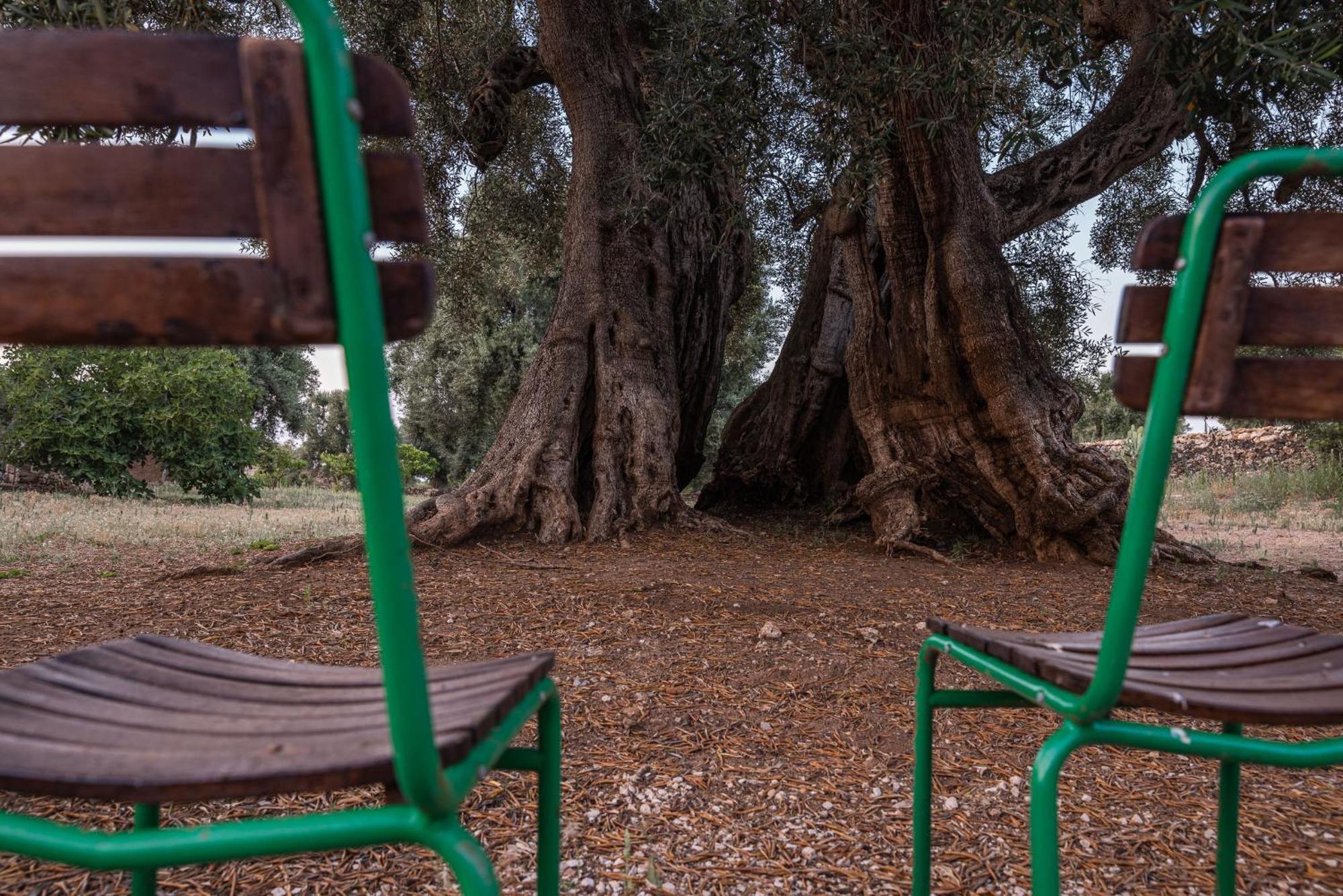 Masseria Torrelonga Fasano Eksteriør bilde