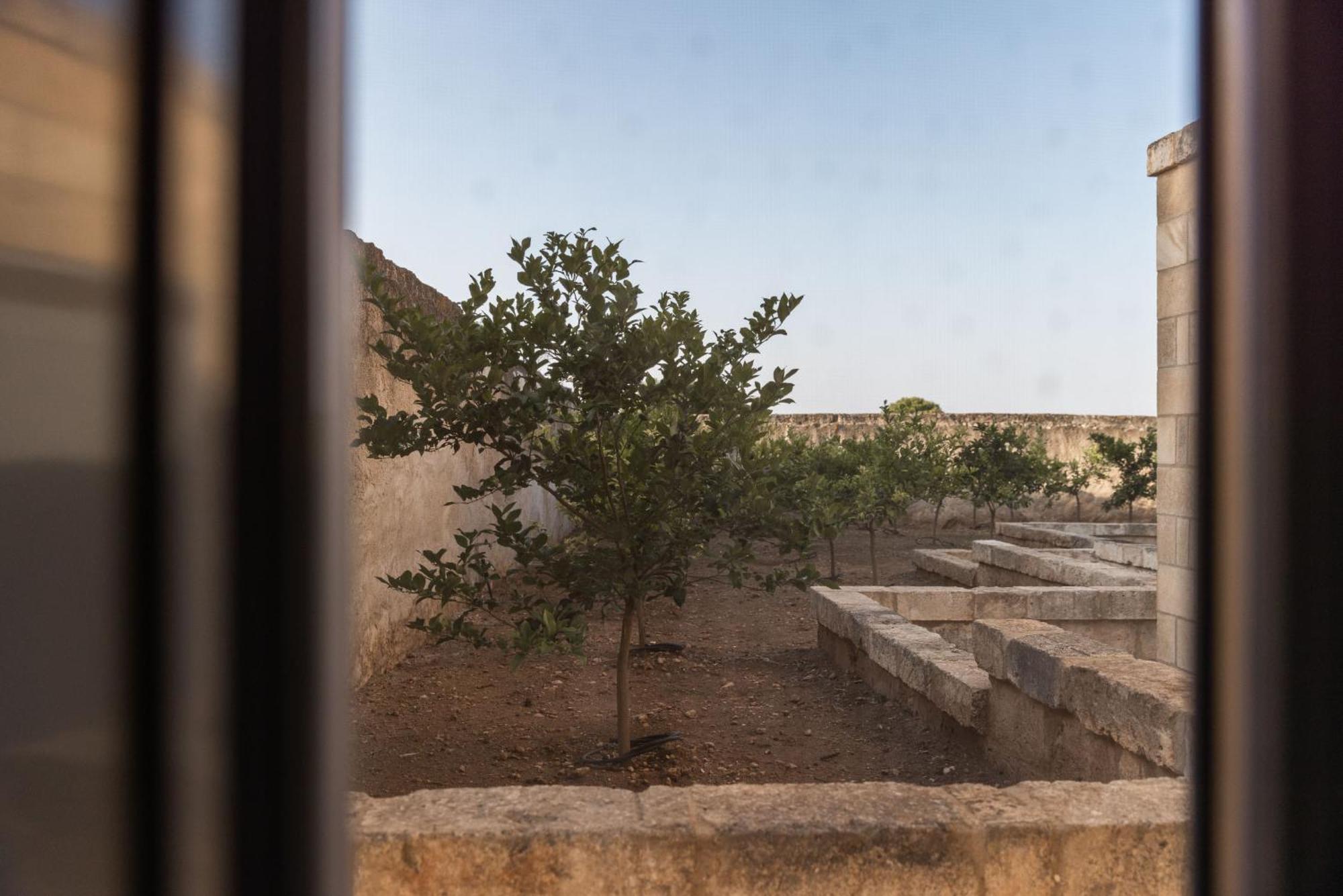 Masseria Torrelonga Fasano Rom bilde